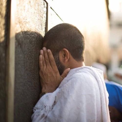 وقف لأم عبدالله قب tweet media