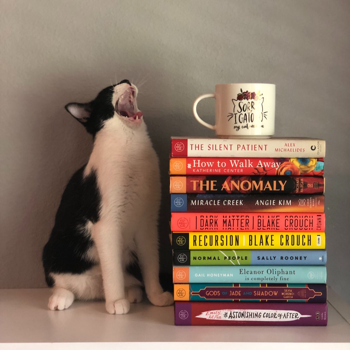 Linda_MRC's tweet photo. I had help from my cat, Batman, for this #bookstack challenge.

https://t.co/dgeZJg20cO https://t.co/d9K6cAvb3Q