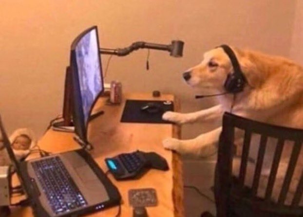 Anyone wanna send me 3$ so i can buy minecraft? ;u; ill send noods https://t.co/zZSkmMhM4Y<a href="/tag/mommy"class="tags"><span>#mommy</span></a><a href="/tag/cgl"class="tags"><span>#cgl</span></a><a href="/tag/femboy"class="tags"><span>#femboy</span></a><a href="/tag/mdlb"class="tags"><span>#mdlb</span></a>