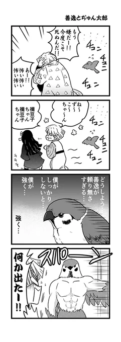 善逸とぢゅん太郎(4コマ) 
