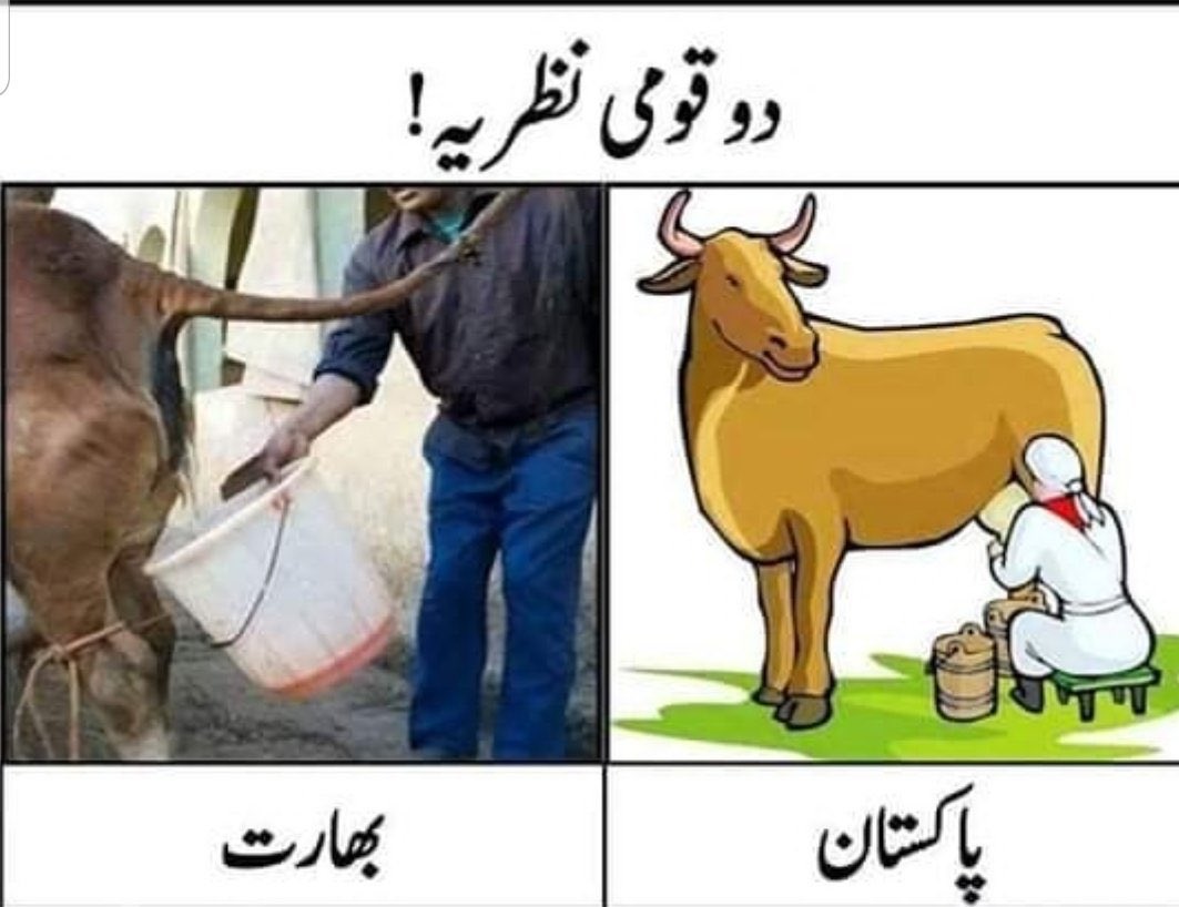 Here is the real difference between two nations..😂
#15AugustBlackDay