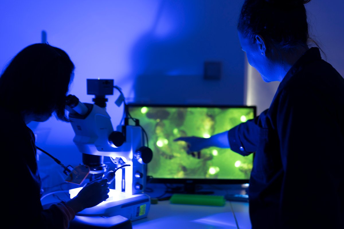 Science & Medicine at ANU tweet media