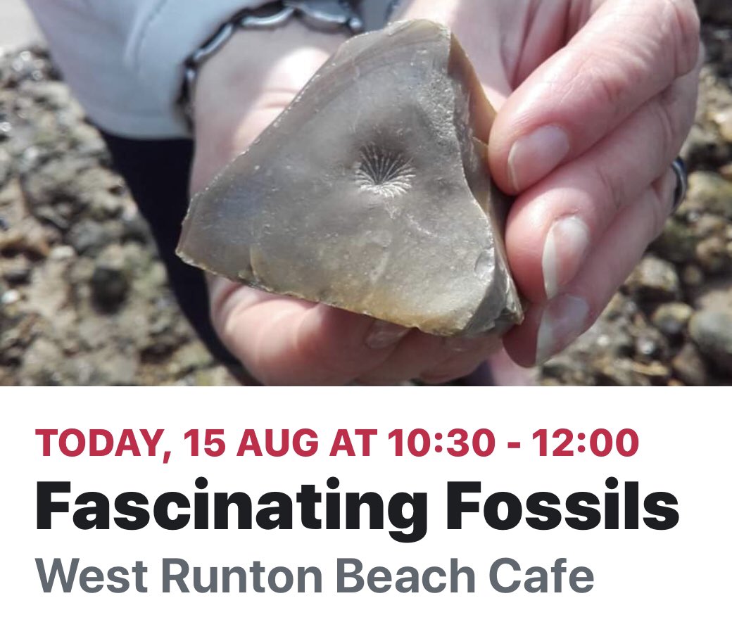 Fossil hunting this morning <a href="/NN_DeepHistory/">Deep History Coast</a> <a href="/CromerMuseum/">Cromer Museum</a> <a href="/vstnorthnorfolk/">Visit North Norfolk</a> @MarGinsholidays  <a href="/NorthNorfolkDC/">North Norfolk District Council</a> <a href="/EDP24/">Eastern Daily Press</a> @NickConradtweet