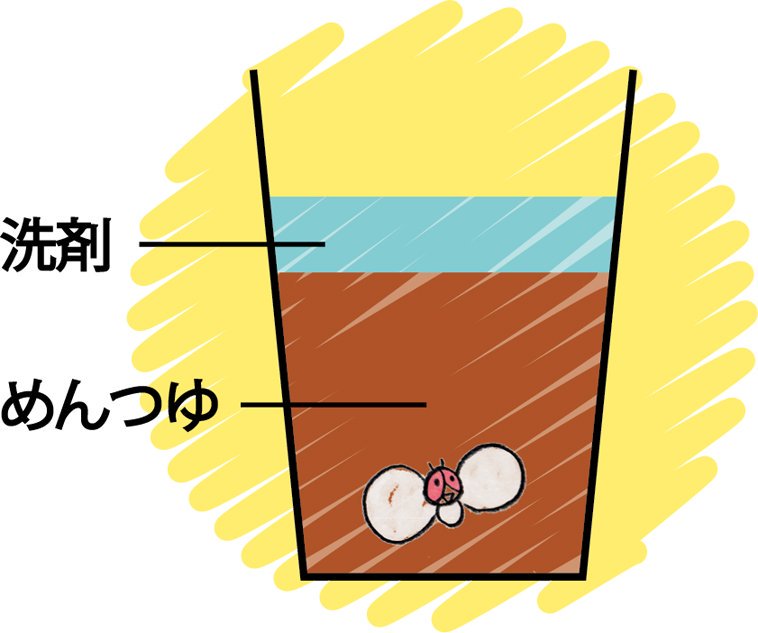 Uzivatel どーじ Na Twitteru コバエ取りにはめんつゆトラップも有効ですね 濃いめんつゆを使う場合 コーヒーと間違って誤飲しないように注意 T Co Fbfti1x2lc Twitter