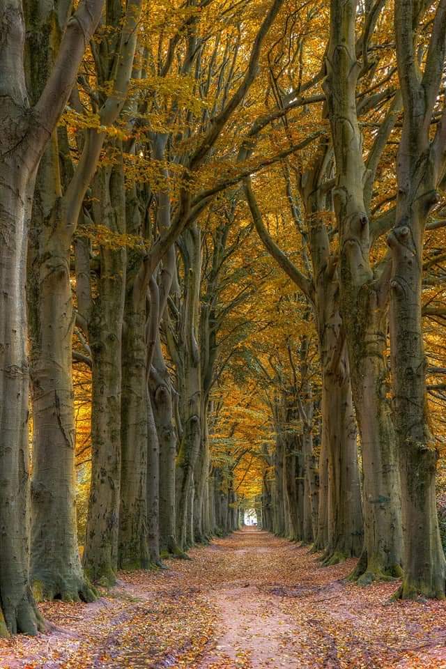 .

어떤 사람이 현명한 사람인가

모든 것에서 무언가를 배우려는 사람이다

어떤 사람이 강한 사람인가

자기를 억제(낮추는)하는 사람이다

어떤 사람이 부자인가

자기 분수에 만족하는 사람이다

만족할 줄 모르는 사람은 
영원히 행복할 수 없다

.
m.facebook.com/story.php?stor…

그대! 덕분입니다
.