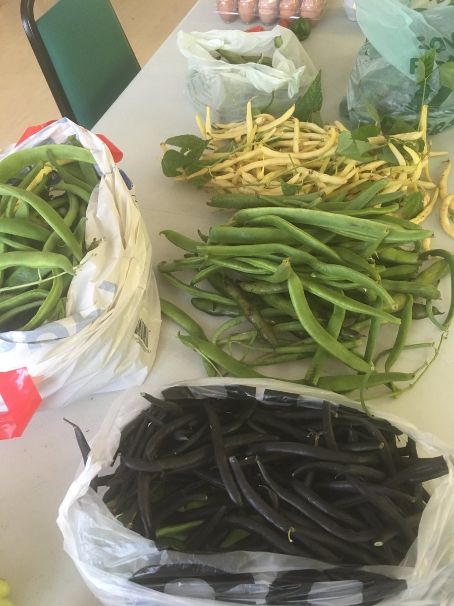 TimeBank_HER's tweet photo. #vegpledge donations for the FEAST in the EAST. Marfleet Community Centre hall is filling up. Now we need you to come and eat tomorrow teatime! #abundance #sharingskillsspacestuff https://t.co/SgSY1WEhtD