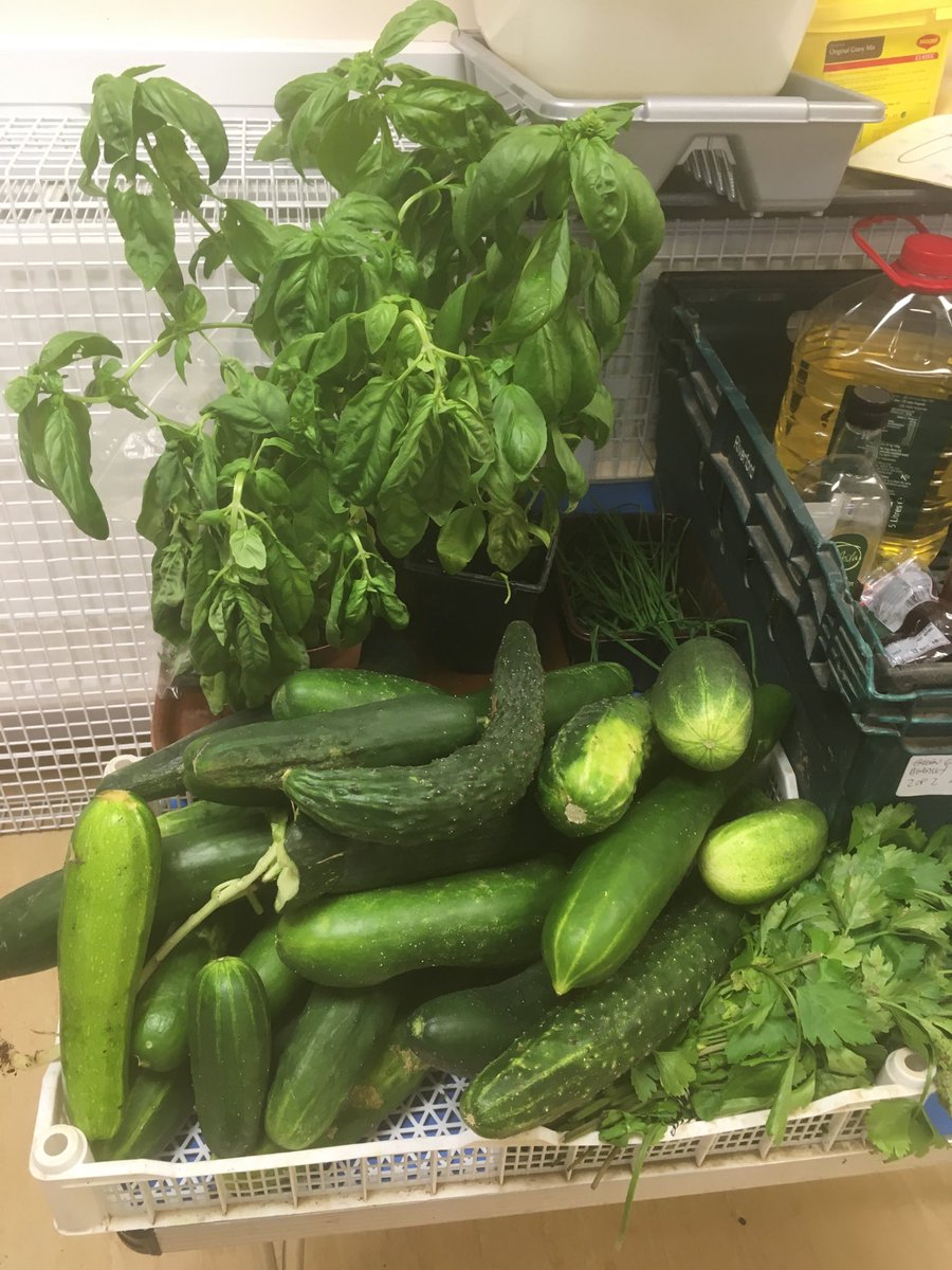 TimeBank_HER's tweet photo. #vegpledge donations for the FEAST in the EAST. Marfleet Community Centre hall is filling up. Now we need you to come and eat tomorrow teatime! #abundance #sharingskillsspacestuff https://t.co/SgSY1WEhtD