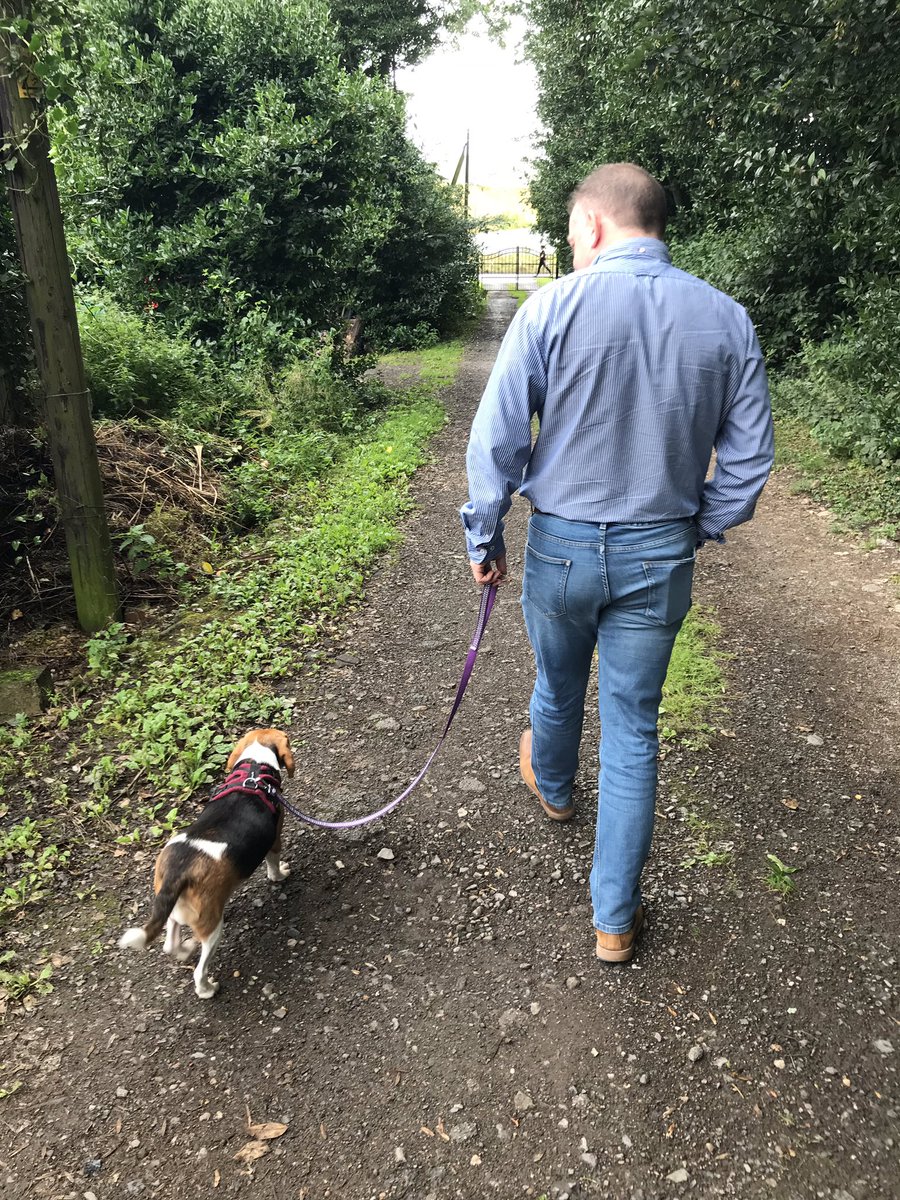 Here I yam with my daddy (who i’m still unsure about even though I want 3am cuddles with him!) walking down the drive. These are the limits of my walks as I escaped the first time we went out I was super nervous #elletherescue