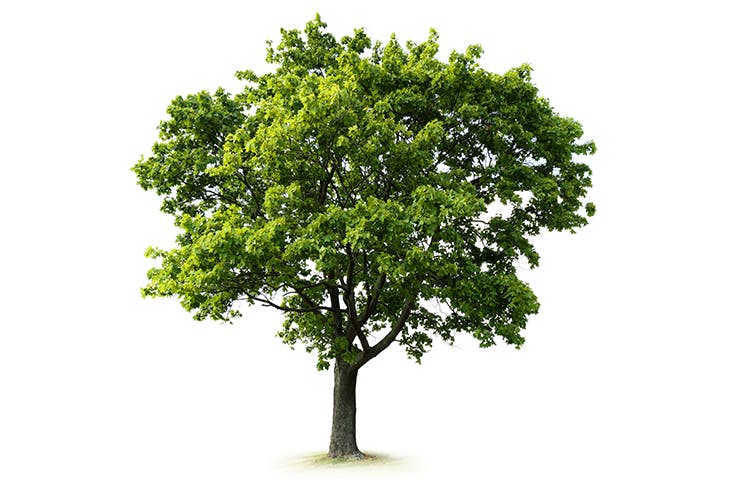 Presmaestro's tweet photo. Looking for a new idea? Try borrowing an old one https://t.co/Zhykuwtjli https://t.co/1YgKb9WVrC