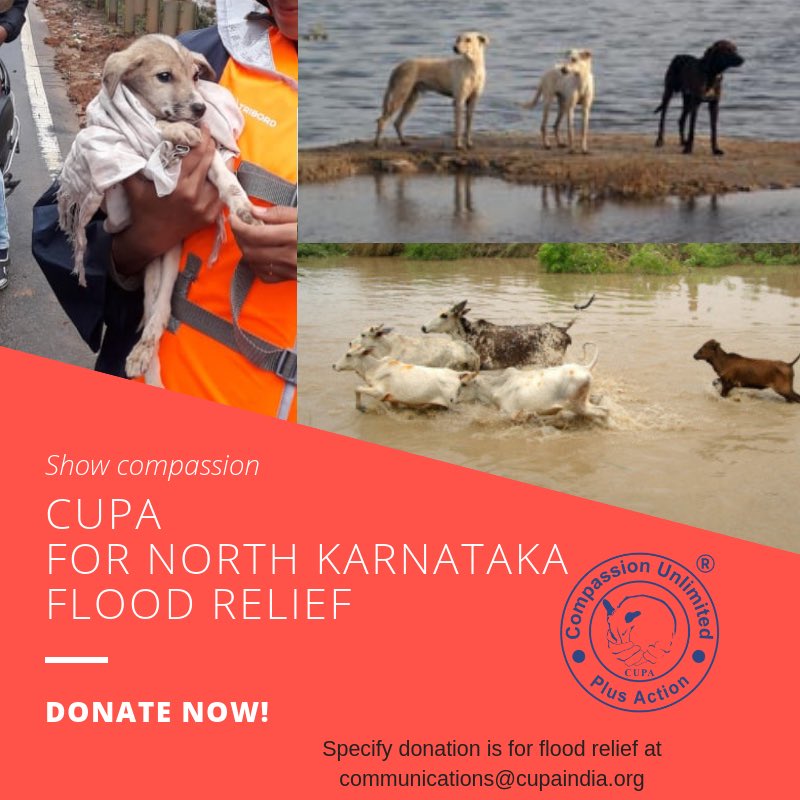 CUPA is raising funds for the Animals in distress in flood ravaged North Karnataka. Contribute generously! Donate: cupabangalore.org/donate-now/
Share &amp; help raise funds!
