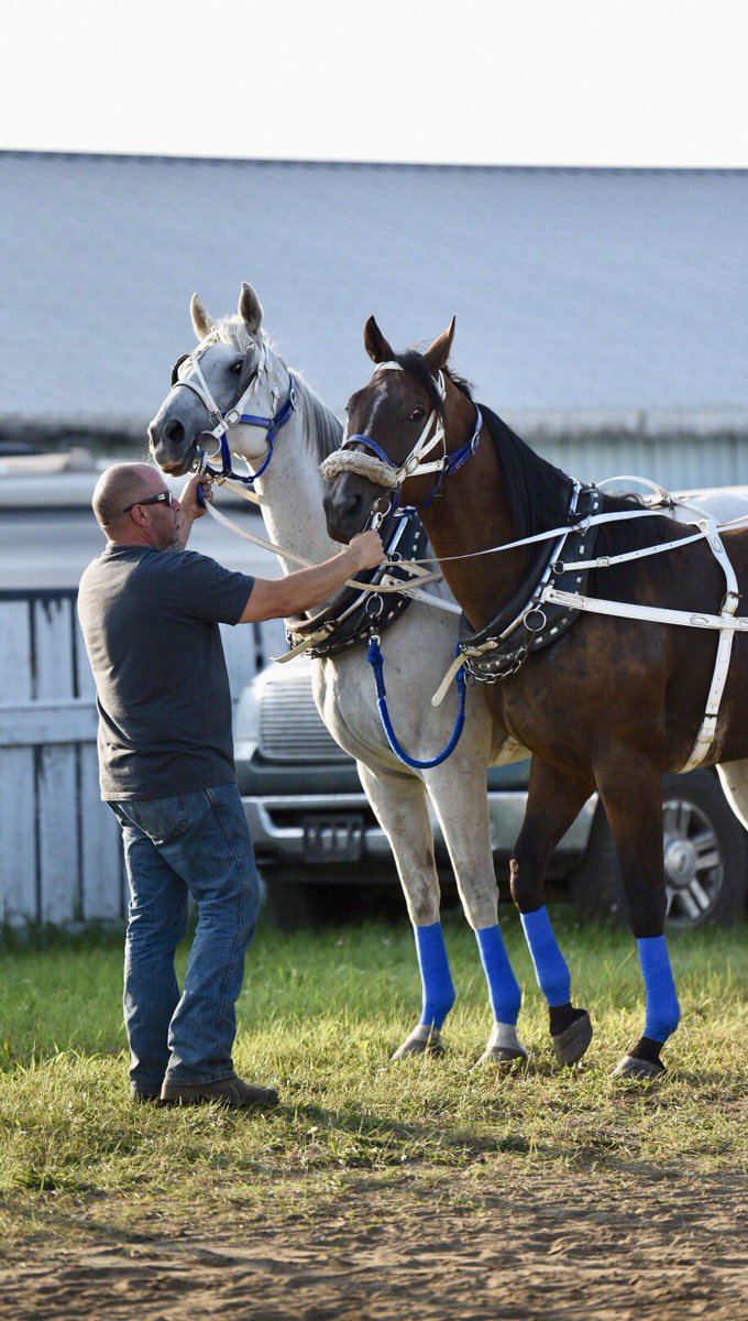 Wayne Knight Racing tweet media