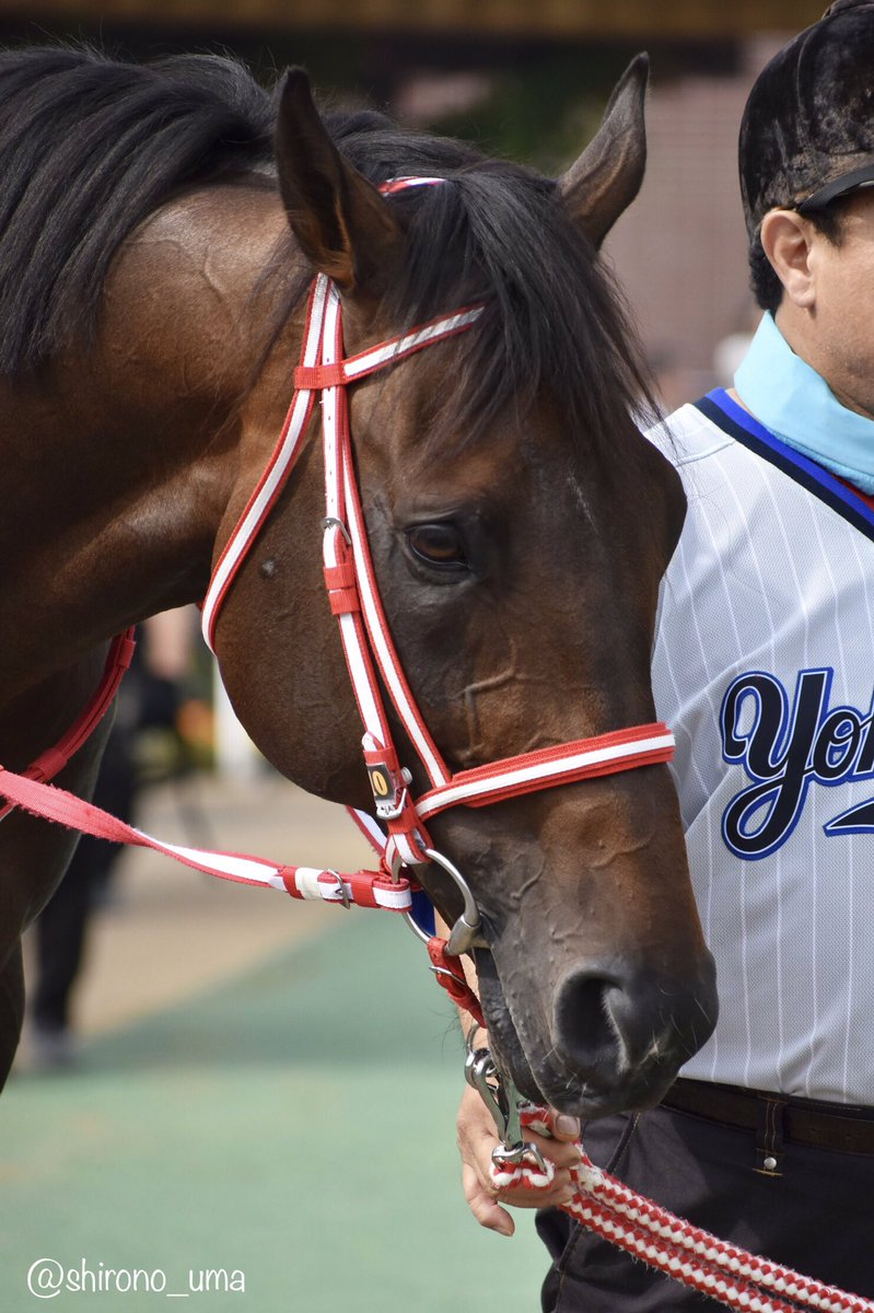 リーゼントロック