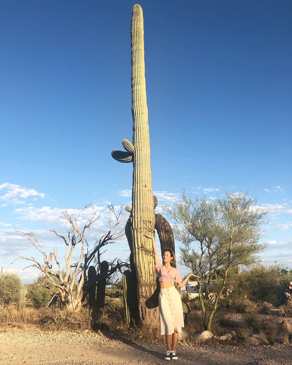 DanayFrance's tweet photo. Instagram 
○
You know when nature decides amuse you. 🌵👑 #queen 
Our goals can only be reached through a vehicle of a plan, in which we must fervently believe, and upon which we must vigorously act. https://t.co/58VKJQ1OMM