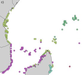 #coralreef and shallow coastal #connectivity in the #WesternIndianOcean - the importance of the Northern Mozambique Channel. By Majambo Gamoyo from his PhD with Dr Chris Reason agupubs.onlinelibrary.wiley.com/doi/abs/10.102… @UCT_Research @varsitynews @cordioea @wiomsa @WWFnews #NoCaMo