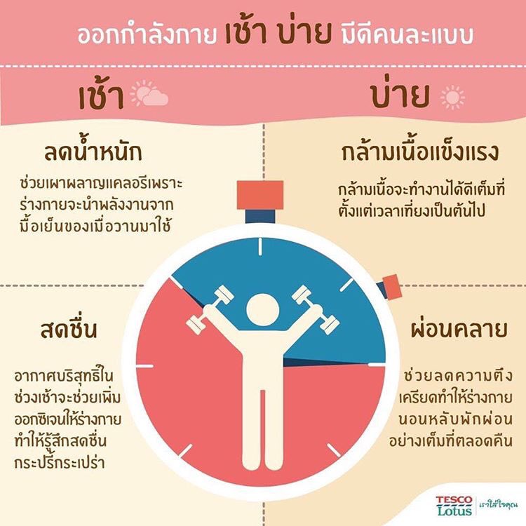 Siriperr's tweet photo. ออกกำลังกายแต่ละช่วงเวลาให้ประโยชน์ที่แตกต่างกันยังไงบ้างลองดูน้าา ปล.อย่าลืมดื่มน้ำให้เพียงพอต่อวัน และรับประทานอาหารที่มีประโยชน์กันนะคะ เราจะหุ่นดีไปด้วยกัน #ฉันจะผอม #ฉันจะสวย #ไว้รีวิวห้ามขายของโว้ยยย #ไว้รีวิวห้ามขายของโว้ยย https://t.co/4fHqIdbwOw