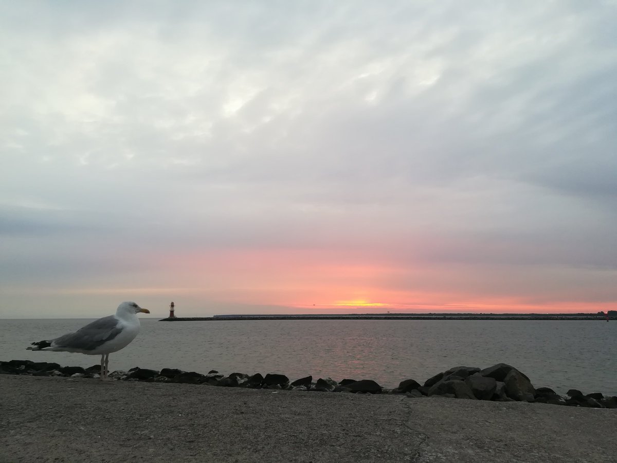 antchea's tweet photo. Warten auf die Sonne. In #Warnemünde #Ostsee https://t.co/VbGyxM0l7u