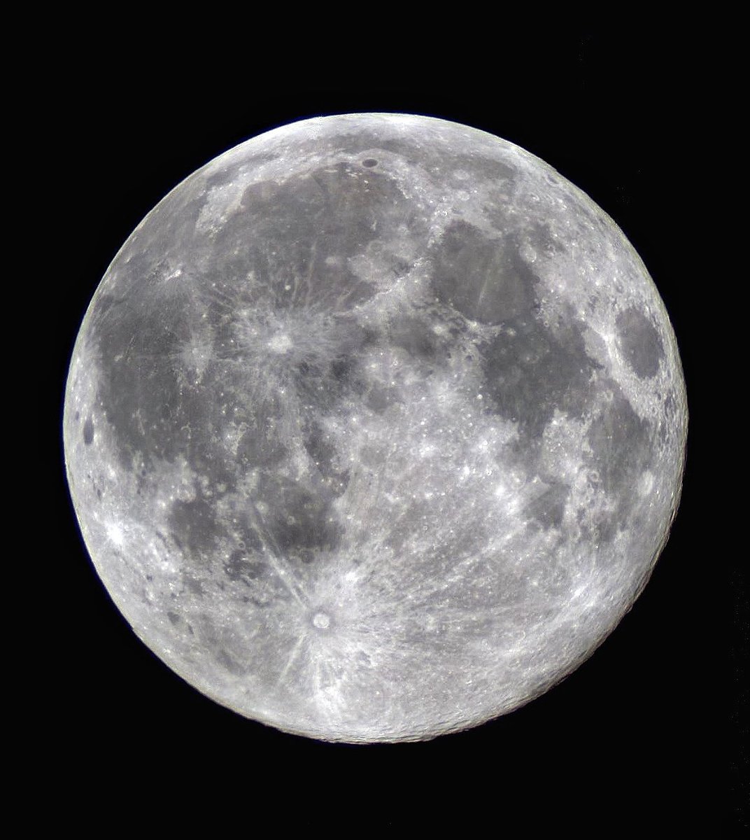 Visualisti si nasce tweet media