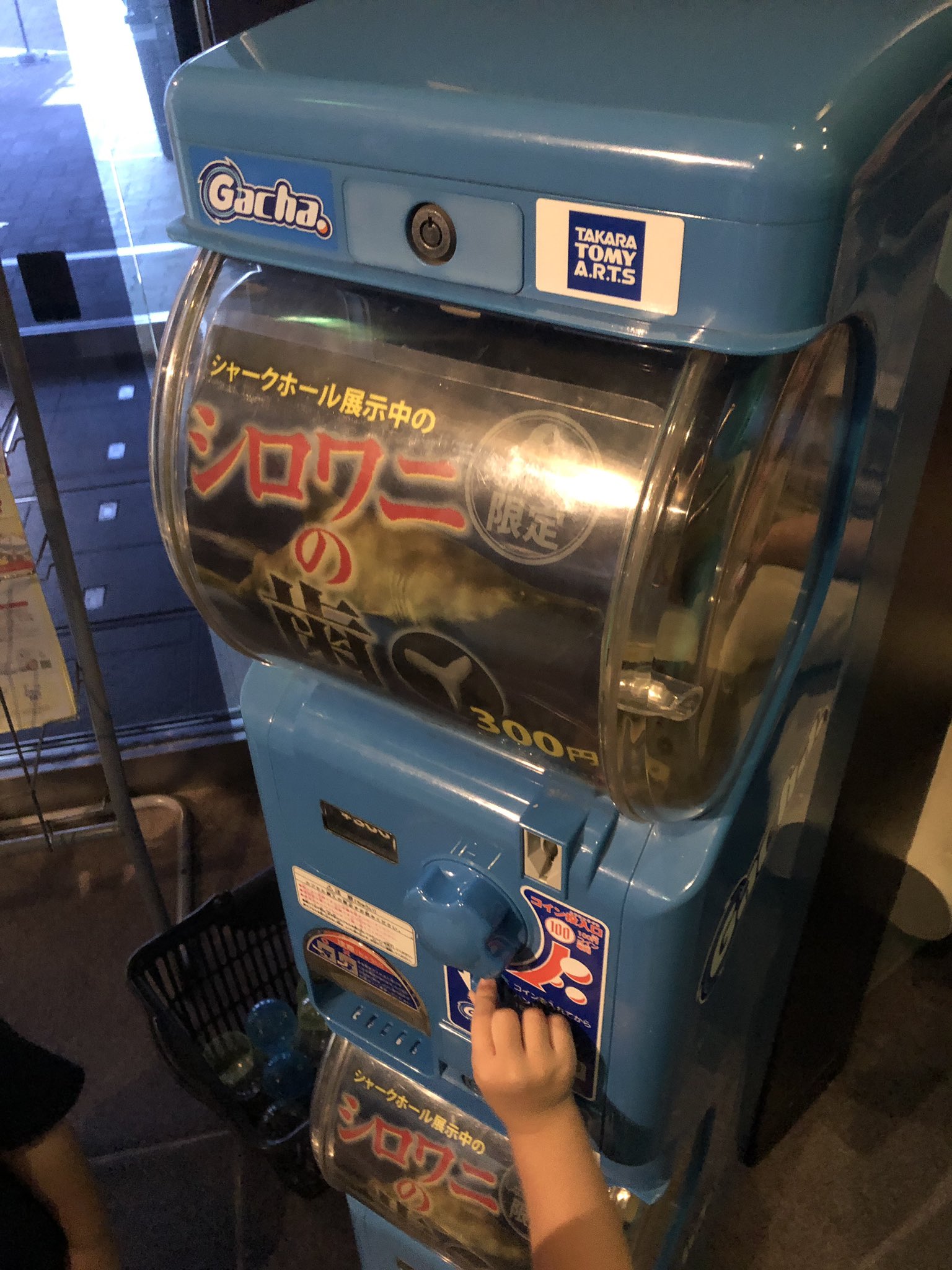 ぬまがさワタリ ゆかいないきもの超図鑑 ３ ８発売 しながわ水族館には大きなサメ シロワニがいるのだが 抜けた歯 をガチャポンで販売していて面白かった まさかの歯ガチャ 当然ながら尖っていて 触ると痛い お子さんは気をつけよう サメ好きは