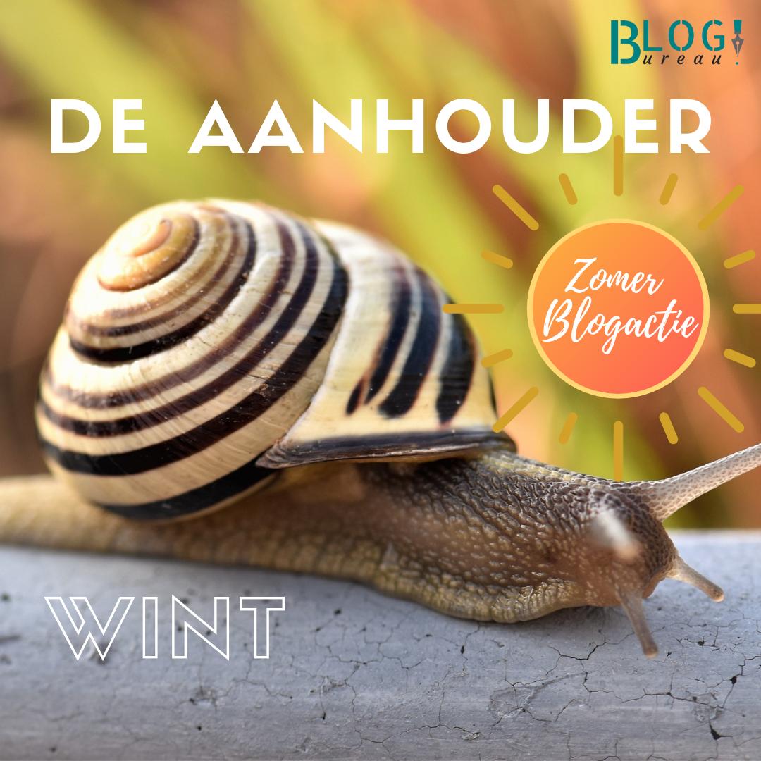 HelmaFolman's tweet photo. 3. De aanhouder wint – naarmate je langer blogt gaat het je steeds makkelijker af en krijg je er steeds meer plezier in. 
Ik help je graag met jouw blogavontuur. Wat te doen op vrijdag de dertiende?
https://t.co/VXtvyptDkf
#bloggen #blogworkshop #doetinchem #bloggenkunjeleren https://t.co/PzYFXZom7r