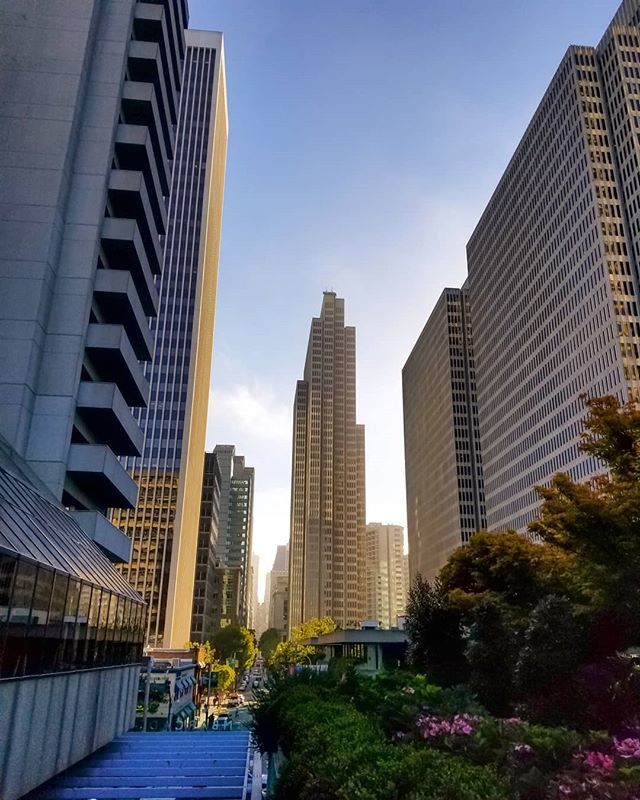 realwesleywess's tweet image. When they meant by &quot;golden hour&quot;, they really mean it. Especially with the sun reflecting on the Embarcadero Center during a golden sunset near the Bay in SF! 🌅🌇
#Embarcadero #EmbarcaderoCenter #GoldenHour #Sunset #SunsetPics #Photography #SanFrancis… ift.tt/33Aq36Y