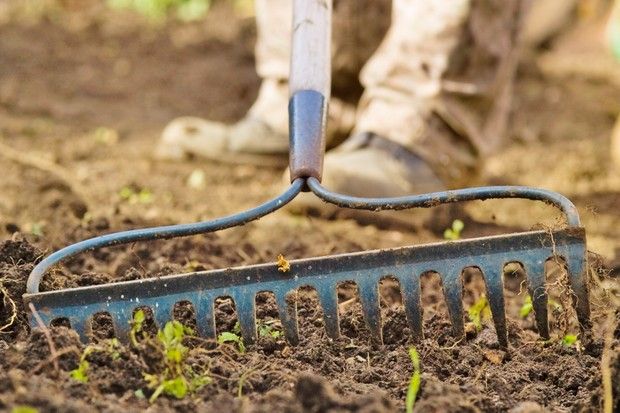 BBC Gardeners' World Mag tweet media