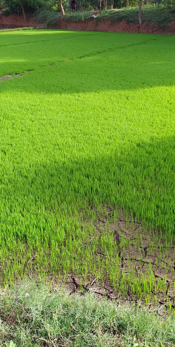 end_food's tweet photo. Happy independence Day
Important video 
https://t.co/UxwTT2RxEQ

#IndependenceDayIndia 
#IndependenceDay2019 
#IndependenceDay 
@karunyauniv 
@Tamil_Today 
@jesuscallscan 
@motorolaindia https://t.co/nBEQwreg27