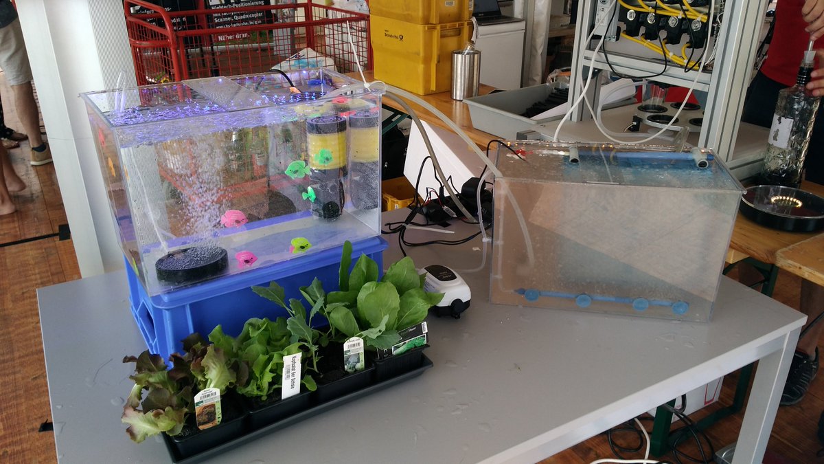 #TBT to when visitors could investigate a mini-version of the VicInAqua pilot at the #science festival #Effekte in #Karlsruhe, Germany in July. The VicInAqua booth by partner @HsKANews sparked a lot of interest!
#H2020 #innovation @KarlsruheTweets @EU_ScienceHub @EcoIno