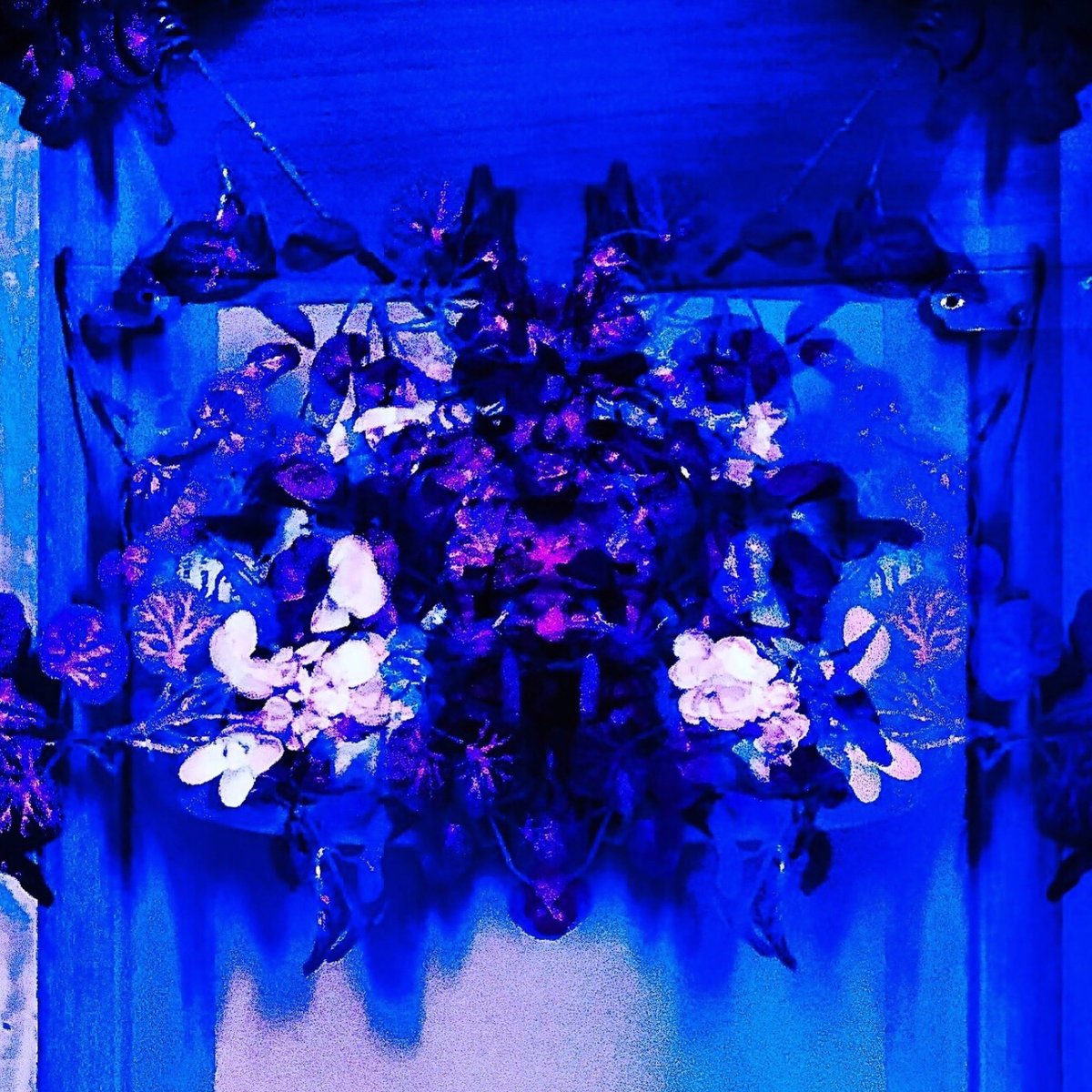 UROROS_NET's tweet image. pisica、初アルバム『 #1 』リリース。IDM、industrial、techno、noiseなどを混じえたドープで華やかな世界をパッケージ - uroros.net/newrelease/988…