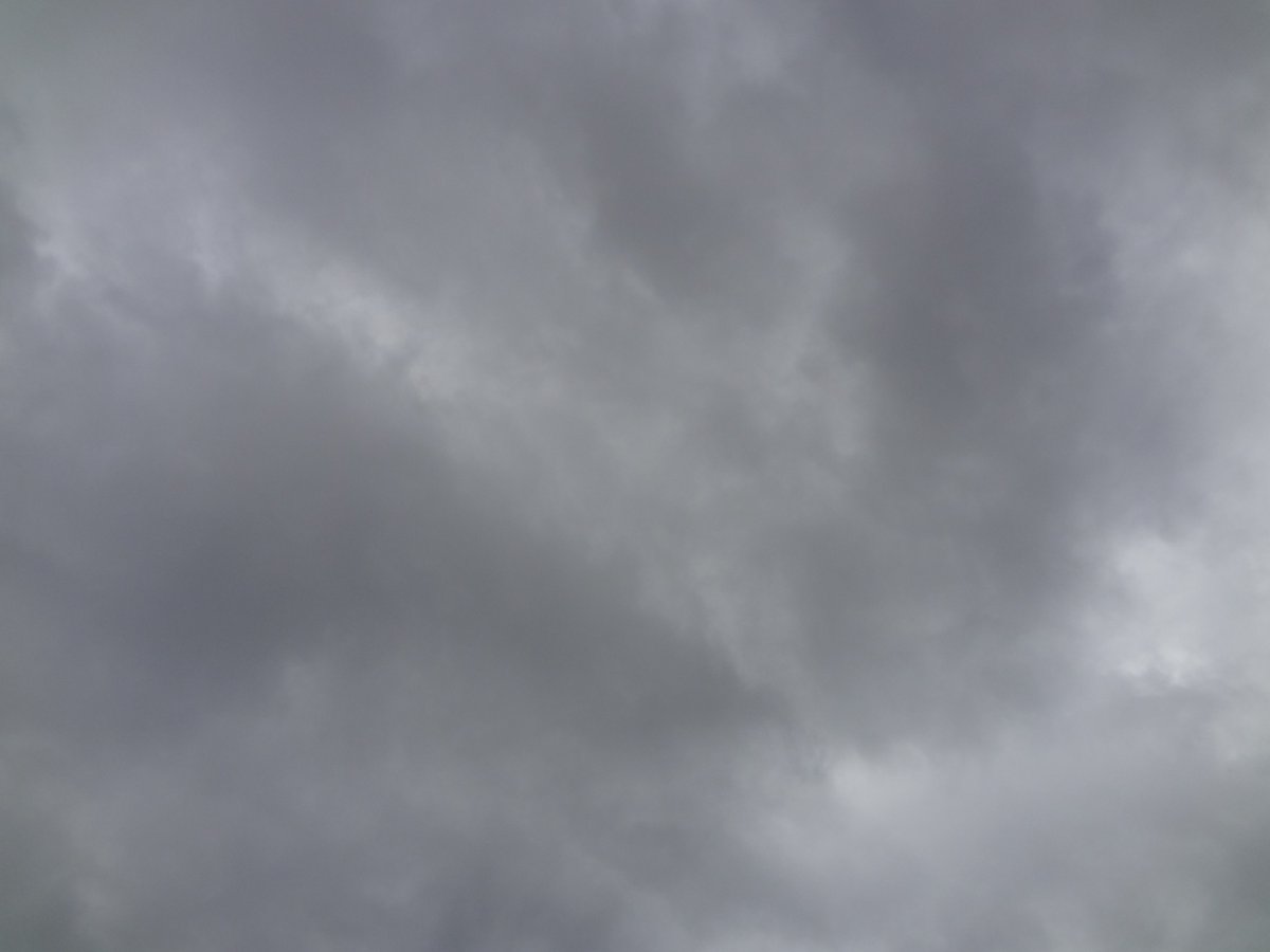 デジタル台風 Twitter Search