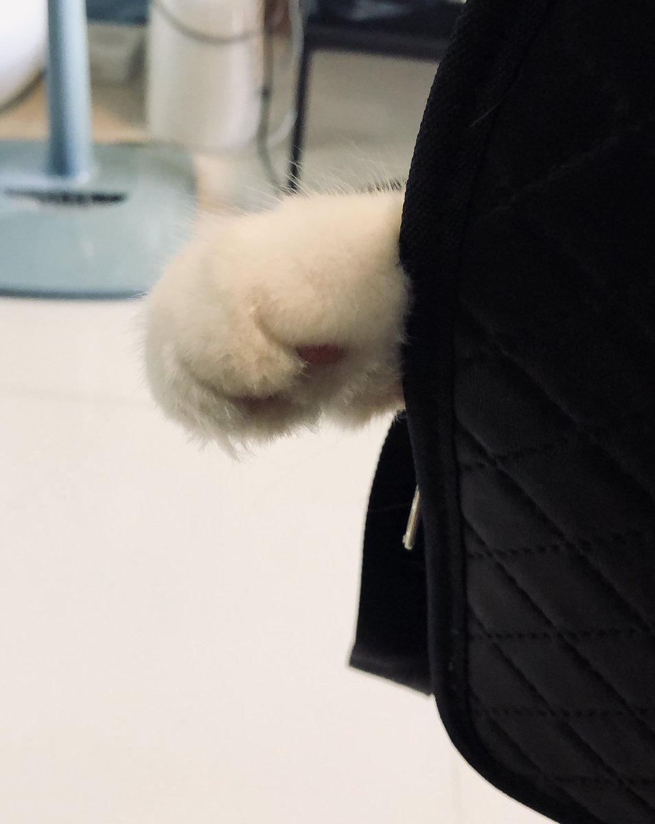 เจเอฟ ˚ ༘ യ🧁ˎˊ˗ tweet media