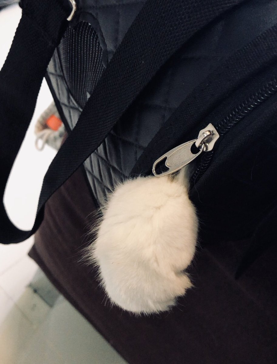 เจเอฟ ˚ ༘ യ🧁ˎˊ˗ tweet media