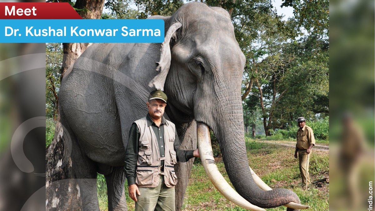 ipledgef0r's tweet photo. Dr. Kushal Konwar Sarma treats 700+ Jumbo’s every year
RM - https://t.co/kwFppzS8Ll
Coming soon - https://t.co/nwjo5RC0l2
#elephantdoctor #kushalkonwarsarma #nonprofitorganization #ThursdayMotivation #ipledgefor #causefunding https://t.co/FL5lFvGTdg