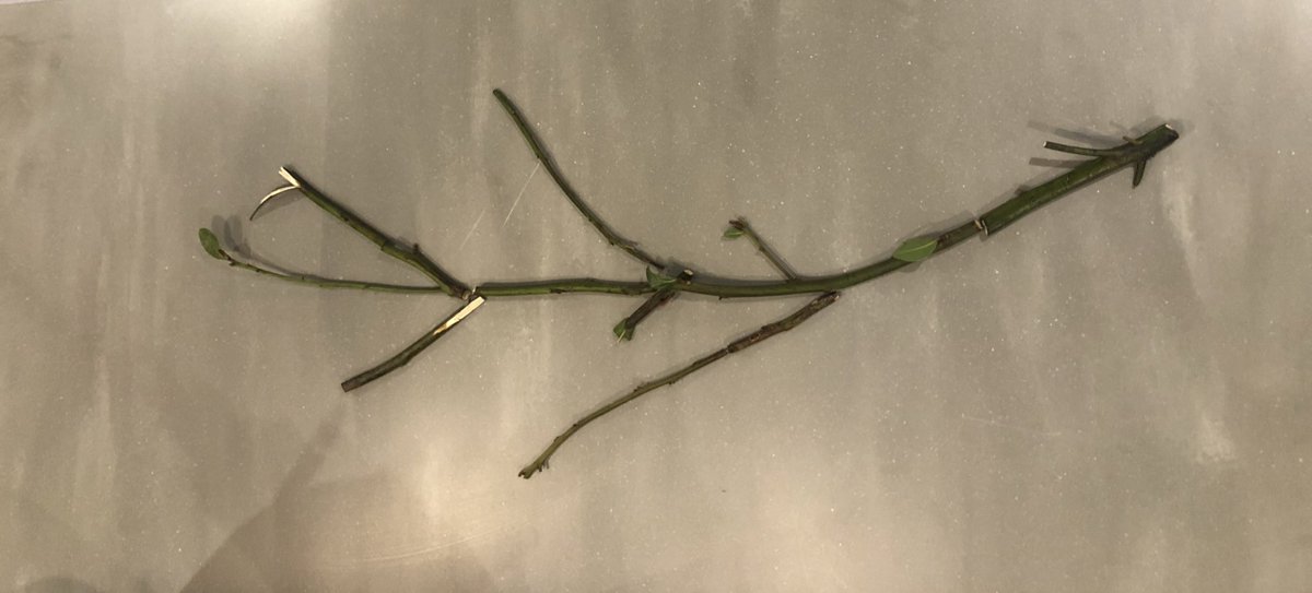 Chris King tweet media