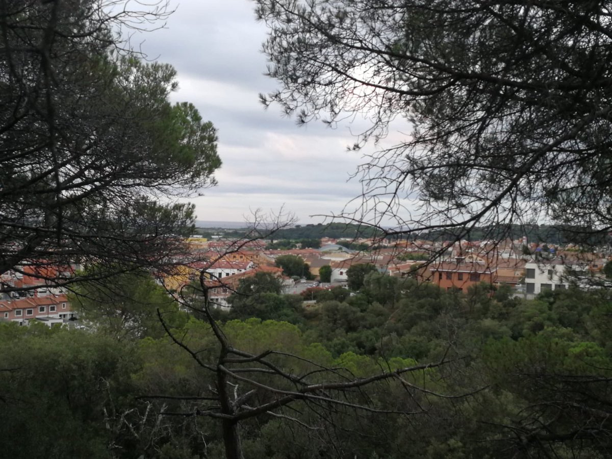 AjuntamentPLF's tweet photo. Bon dia. Us desitgem una bona jornada festiva #estiuPLF #viuPLF #sensefiltres @CostaBcnMaresme #descobrircatalunya https://t.co/I8DDBrgjD4