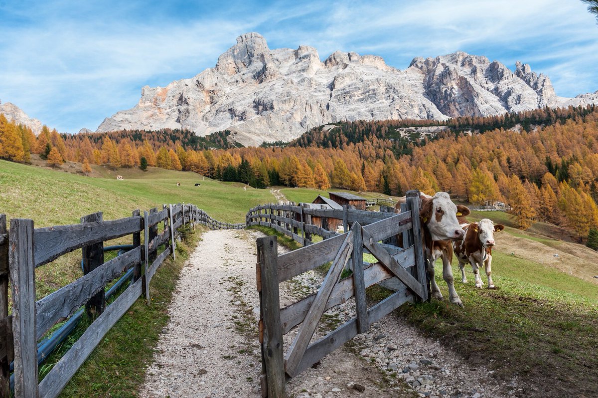 WineNewsIt's tweet photo. #Ferragosto2019 - Perché scegliere sempre tra mare o montagna? WineNews propone “cartoline” da “luoghi agricoli” e #vigneti d’Italia, per bellezza dei posti dove nascono #vini apprezzati nel mondo, e per scoprire itinerari che intrecciano #cultura, #cucina, #enogastronomia https://t.co/b1dpAHXvOi