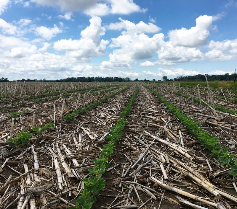 Soil Science Society of America tweet media