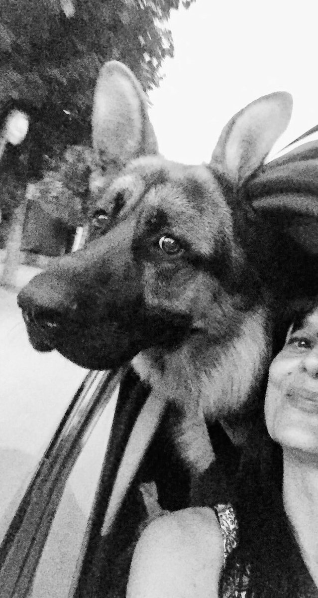 __Fausta__ld's tweet photo. Il viaggio più bello? 
Con chi ci ama incondizionatamente. 
Sempre insieme, perché noi ci vogliamo bene. https://t.co/Wpv1LVBHkK