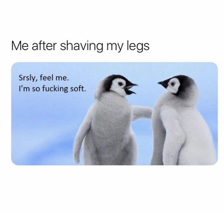 slothoughts's tweet photo. Comfort is key for the sloth life 👌🏼 https://t.co/njfkiMu5i7
