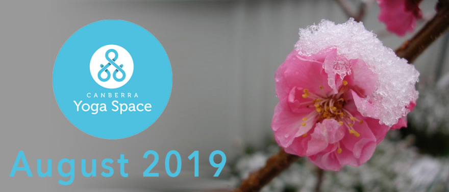 CanbYogaSpace's tweet photo. August 2019 Newsletter - https://t.co/mJy1oL0Zwc https://t.co/pWDh8AYZM5