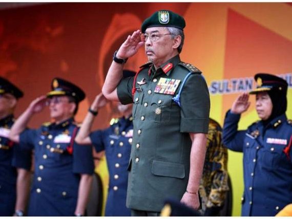 November 2018 Seademon Says