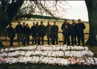 ChrisGPackham's tweet photo. Piles of dead Mountain Hares exterminated on driven grouse moors for allegedly spreading a disease amongst overcrowded grouse . This is not conservation  - it’s slaughter . Let’s end it https://t.co/DnSB6Bo8Yh Please RT ⁦@LeagueACS⁩ ⁦@RSPCA_official⁩ https://t.co/0YPV1uAqON
