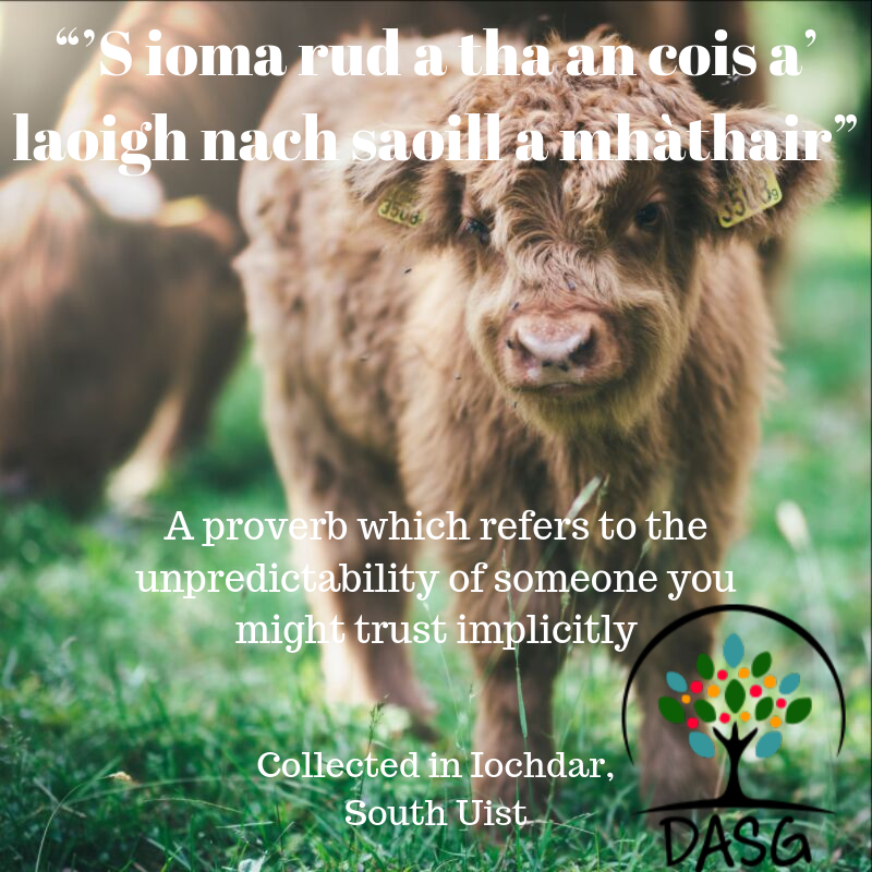 DASG_Glaschu's tweet photo. https://t.co/2uDzzwrUiM
#Gaelic #Gàidhlig #DASG #archive #tasglann #UofG #Archivist #ScotlandsSounds #DigitalArchive #IYIL2019 #UNESCO #IsMiseGàidhlig #friends #caraid #càirdeas #friendship #seanfhaclan #proverbs #seanchas #Iochdar #UibhistaDeas #SouthUist #Uibhist #Uist #Alba https://t.co/UL2gvpGTFg