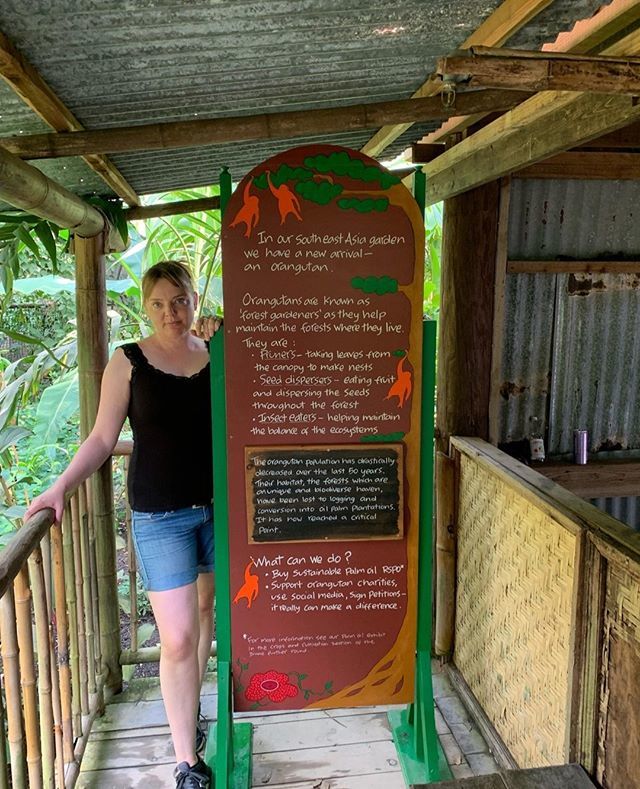 SweetBeetches's tweet photo. Learnt quite a lot about the plight of the Orangutan at @edenproject.
#edenprojectcornwall #edenprojectcomp #edenprojectphotocomp #discoverkernow #cornwallinfo #bethechangetheworldneeds #palmoilkills #palmoilofreeproducts #orangutansanctuary #orangutansofinstagram #ora… https://t.co/Ma0HqSdLZs