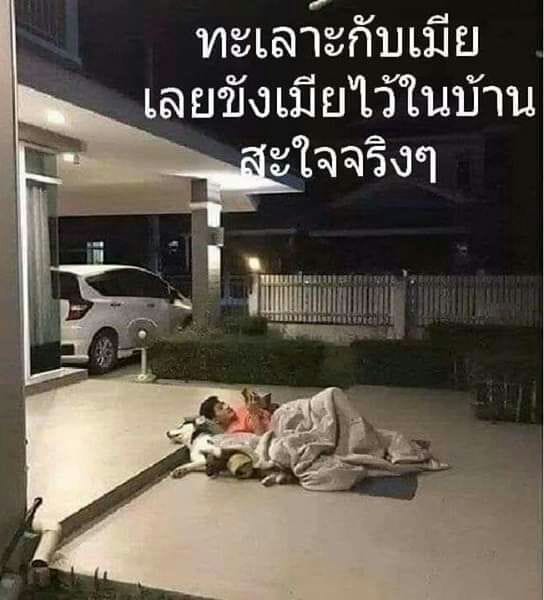 รักหมาจัง🐾 tweet media