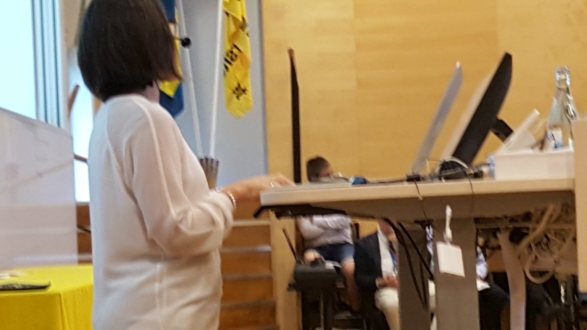 LegrandCath's tweet photo. Closing ceremony #lnusummeracademy @linneuni The value of international relations & interdisciplinarity in higher education. It is all about the people, students & faculty! @Historiebruket https://t.co/9b77P9RRuU