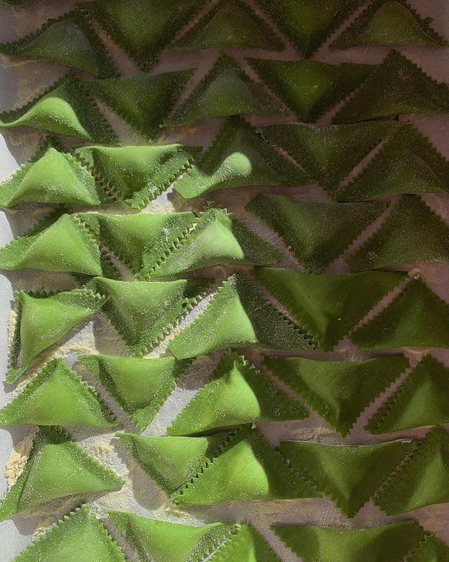 templohobart's tweet photo. Nettle Triangoli 🌿 https://t.co/6oY9ezOKw5 #templohobart https://t.co/0pKCdwmQ2A