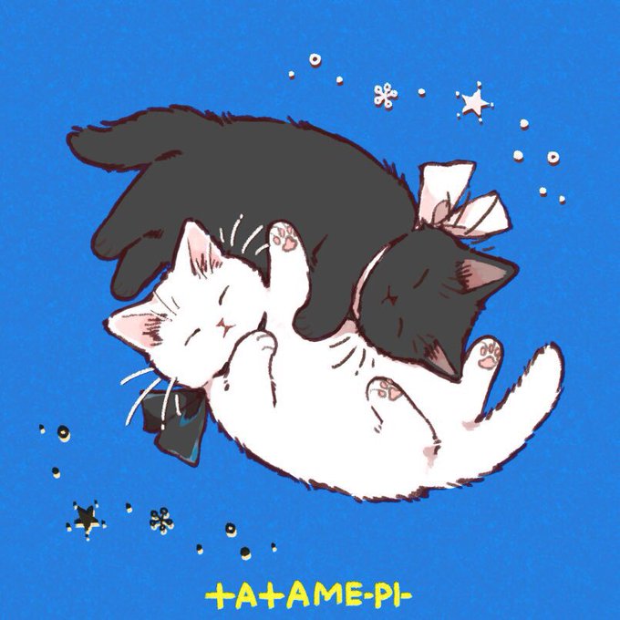 「世界猫の日」のTwitter画像/イラスト(古い順))