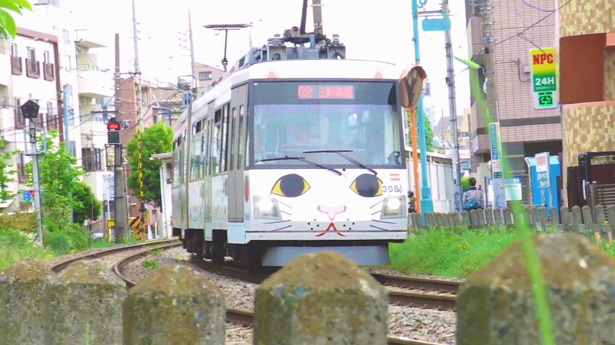 たまたま乗った世田谷線の電車が招き猫電車だった🐈可愛すぎる…天才😩💕

#世界猫の日
#世界ネコの日