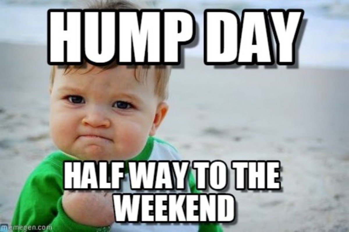 Cowles_Ford's tweet photo. Same feeling little buddy! https://t.co/YRTzCJRJoa