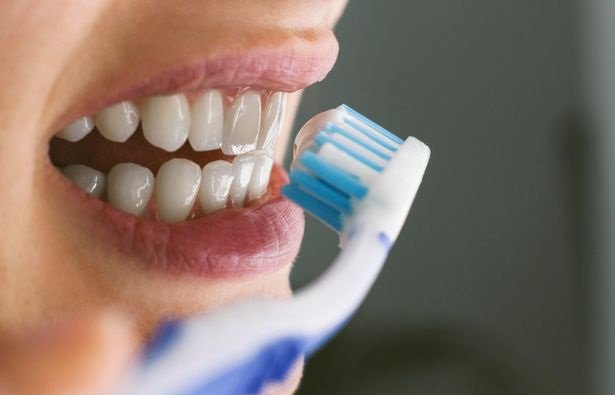 dr_limdental's tweet photo. Brush your teeth twice a day with a soft-bristled brush. The size and shape of your brush should fit your mouth allowing you to reach all areas easily.
#dentalcare #dentalhygiene #oralhygiene #cleaningteeth #brushing https://t.co/iLmHE6FR7K